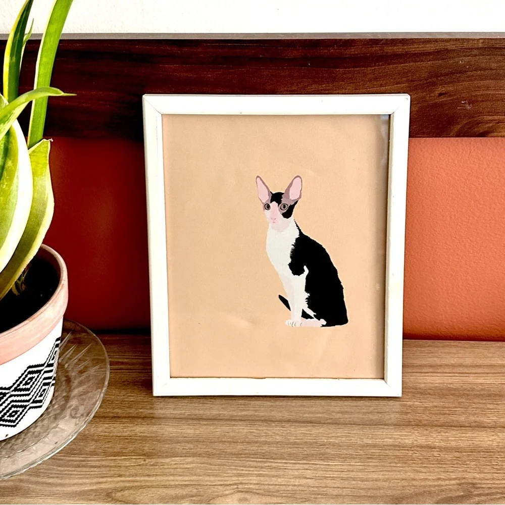 Sphinx Cat Hairless Cornish Rex Quirky Art White Framed Wall Art Canvas Print